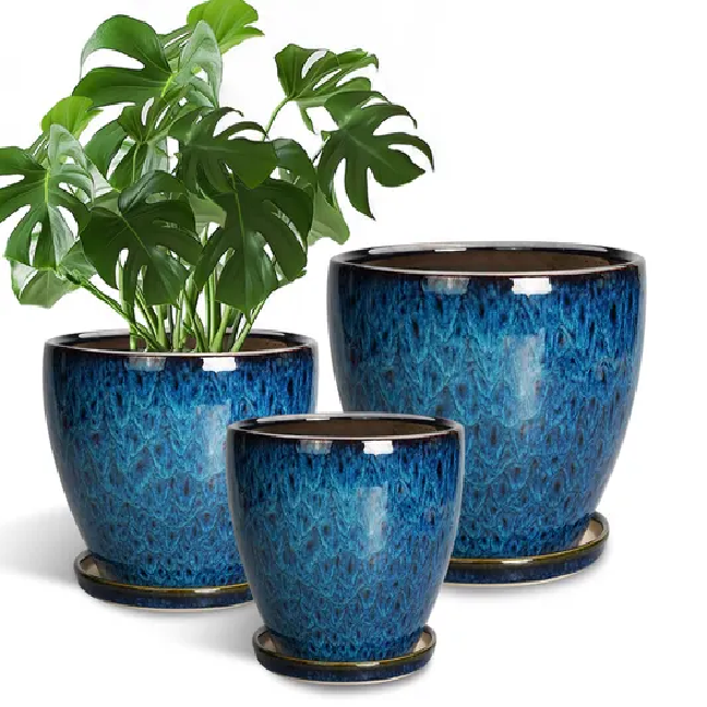 Ceramic Plant Pots